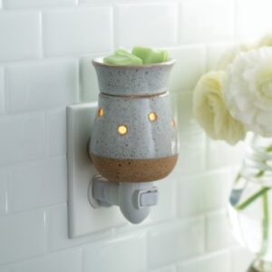 Rustic White Pluggable Warmer