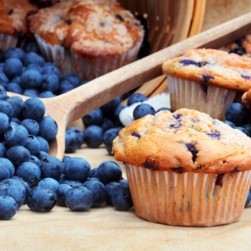 Blueberry Muffin