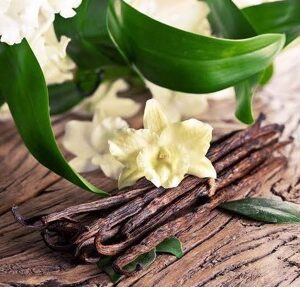 SANDALWOOD VANILLA