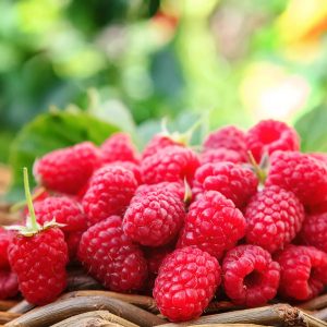 Sun Ripened Berries 250g